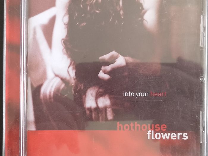 Hothouse Flowers - Into Your Heart CD (2004) Pop Rock Folk EX+
