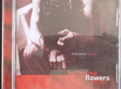 Hothouse Flowers - Into Your Heart CD (2004) Pop Rock Folk EX+