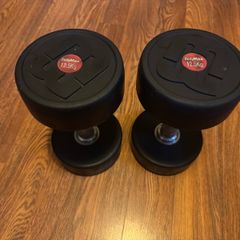Weights 12.5kg bodymax