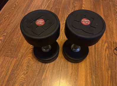 Weights 12.5kg bodymax