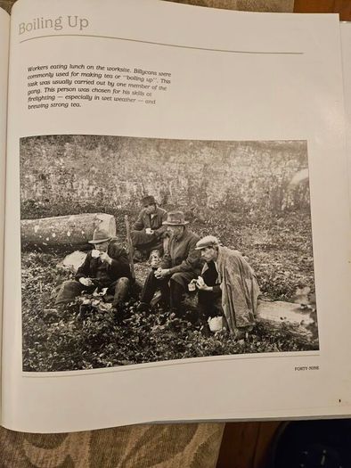 Forest Images. Fr Browne's Woodland Photographs From Emo Court Co Laois. Fabolous FIRST EDITION Large Volume Hardback In Good Condition.  See Photos For Same.