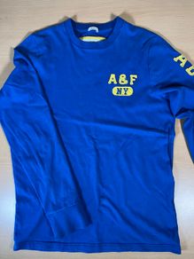 Abercrombie & Fitch Shirt Mens L Blue Muscle Fit