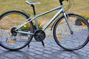 Hybrid Trek Ladie Small Frame