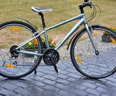 Hybrid Trek Ladie Small Frame