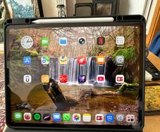 Ipad Pro 4th generation 12.9"