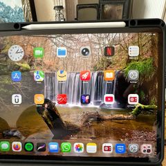 Ipad Pro 4th generation 12.9"