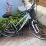 Carrera crossfire one 28 inch wheels 21 speed 20.5 inch frame Image 3