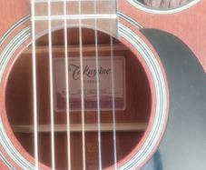 Takemine Guitar