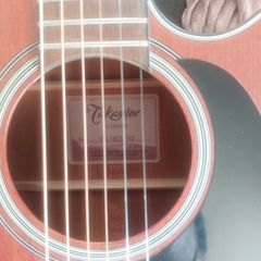 Takemine Guitar
