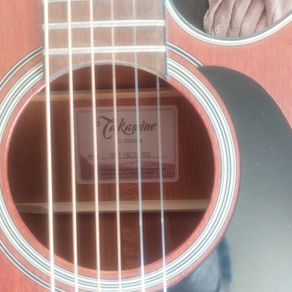 Takemine Guitar