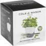 Self-Watering Potted Herb Keeper Image 2