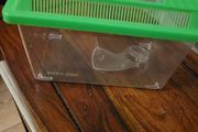 hamster acc