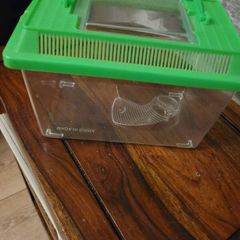 hamster acc