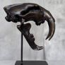 Sabre-Tooth Tiger (20cm) - Bronze, Signed Image 3