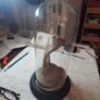 Wax Cobra in antique glass dome. Image 6