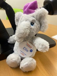 Ellie Tesco Elephant Teddy