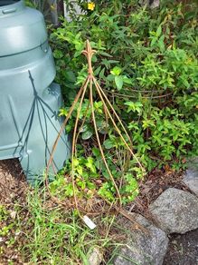 Ornamental plant cloche