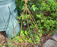 Ornamental plant cloche