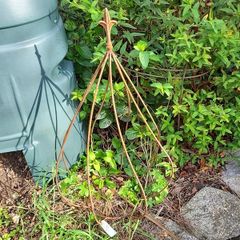 Ornamental plant cloche