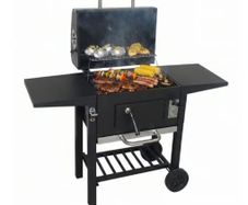 Alvaro Large Charcoal Garden Grill with Lid
