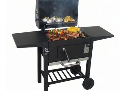 Alvaro Large Charcoal Garden Grill with Lid