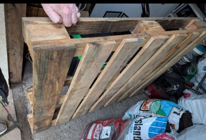 wood pallet