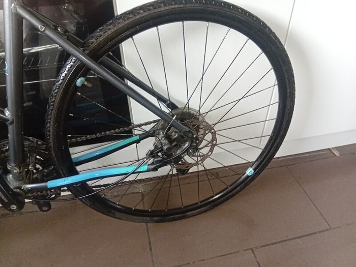 fuji Absolute