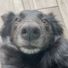 lucy111132