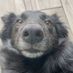 lucy111132