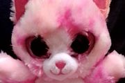 TY teddy