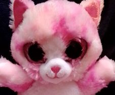 TY teddy