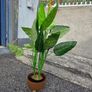 Artifical Image 2