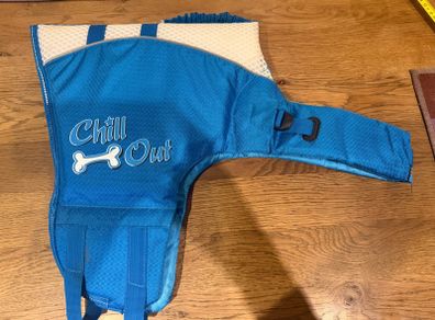 dog life jacket