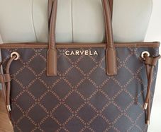 ladies handbag