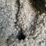 MONKI  Curly Faux Fur Jacket/Teddy Coat Size S Image 5