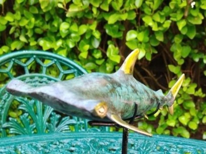 Hammerhead Shark - Patinated Bronze With Gold Accents