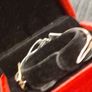 Bracelet Image 3