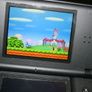 DS Lite Image 3