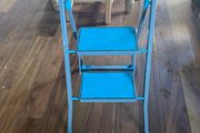 Beldray step ladder
