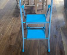 Beldray step ladder
