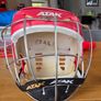 Hurling helmet Image 2