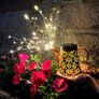 Solar Watering Can Firework Lights Outdoor Garden Decorations Waterproof Pathway Light Led Landscape Starburst Lights for Outside Backyard Lawn Patio Walkway Driveway Parties Ornaments Image 2