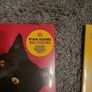 Ryan Adams Big colors red vinyl plus 7" Image 2