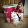 American Girl Doll & Horsebox Image 6