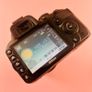 Nikon D3100 Image 8
