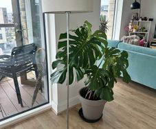 Modern Floor Lamp ,Excellent Condition ,Foot Switch ,Ready to Use