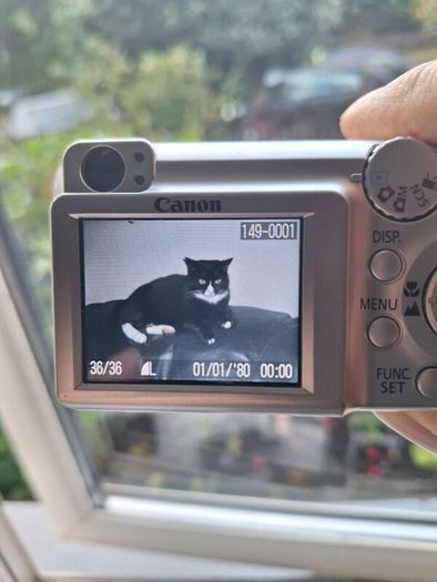 Canon PowerShot A460 digital camera.