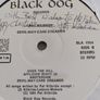 1984 Vinyl/ signed / Pat Kilbride/Devil- may-care dreamer Image 2