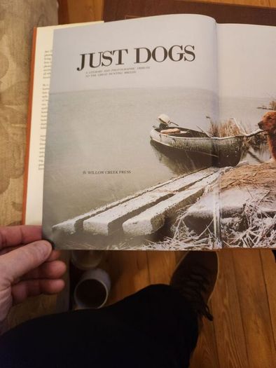 Just Dogs. A Literary & Photographic Tribute To The Great Hunting Breeds. First Edition Large Volume Hardback With Dustjacket In Very Good Condition. 36.