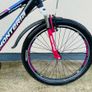 Mountain Bike Image 6
